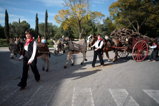 Tragineres