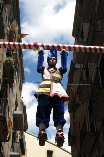 El tarlà giravolta durant les festes del carrer