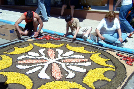 Omplint de flors el dibuix