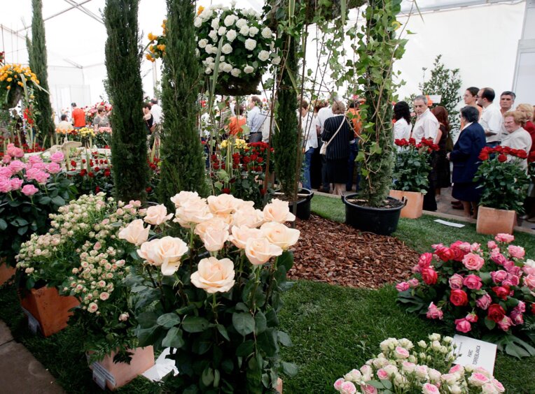 Exposició Nacional de Roses de Sant Feliu de Llobregat