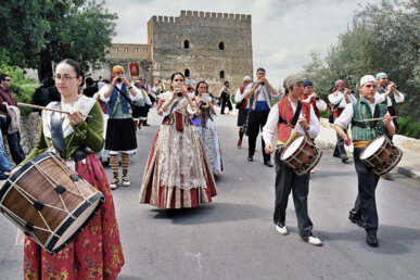 Els músics