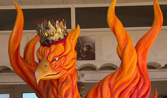 L'au Fènix de Palafolls. Foto: Pau Reig