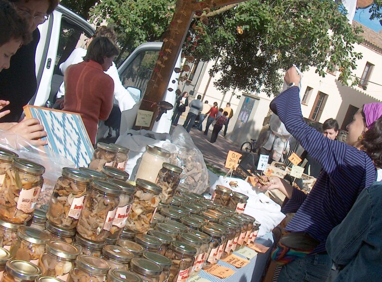Festa del Bolet i de les Herbes Remeieres a Castellterçol