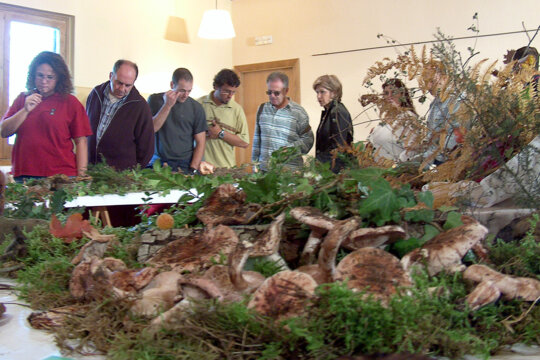 Visitants a l'Exposició
