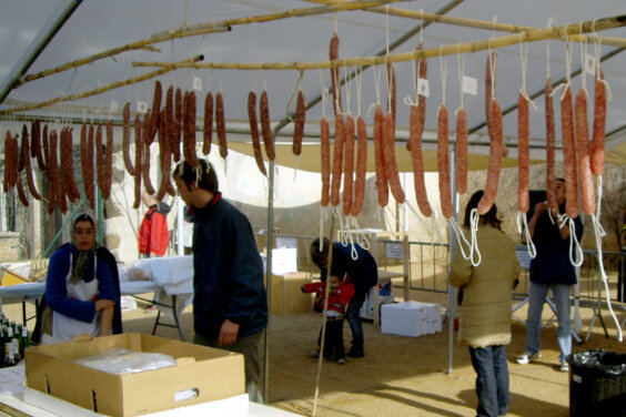 Galeria principal