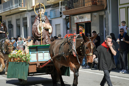 Carro del sant