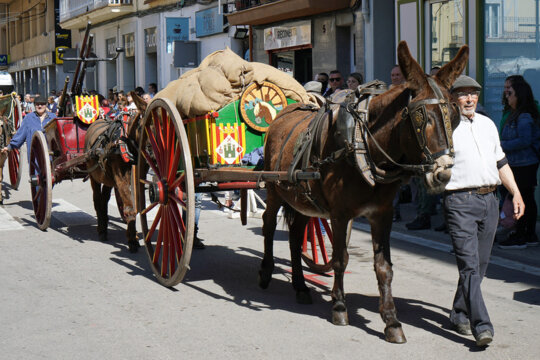 Un dels carros de l'Associació Cultural de Carreters i Cansaladers de Sant Vicenç de Castellet