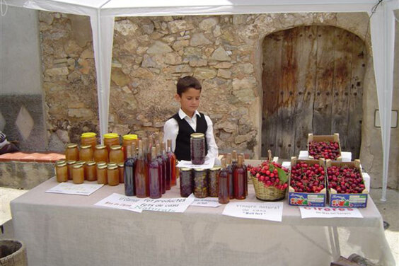 Galeria principal