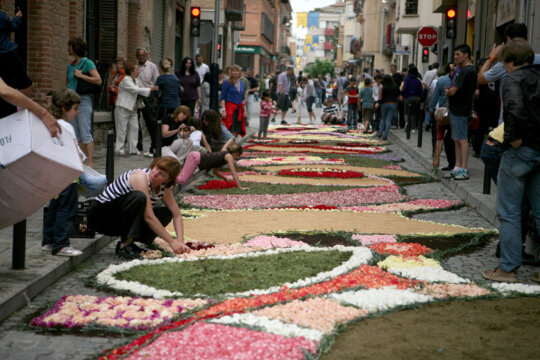 Preparant les catifes