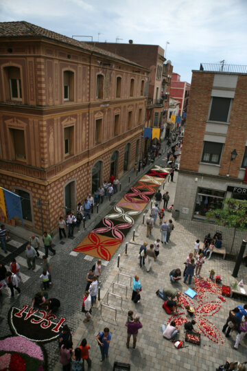 Una de les catifes de clavells