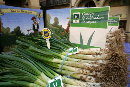 Els calçots