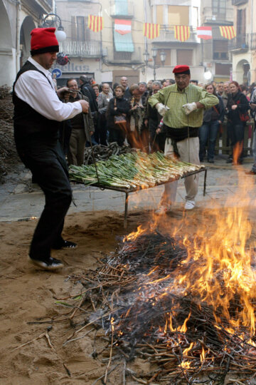 Posant els calçots al foc