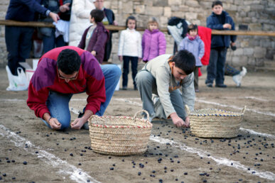 Concurs de plegar olives