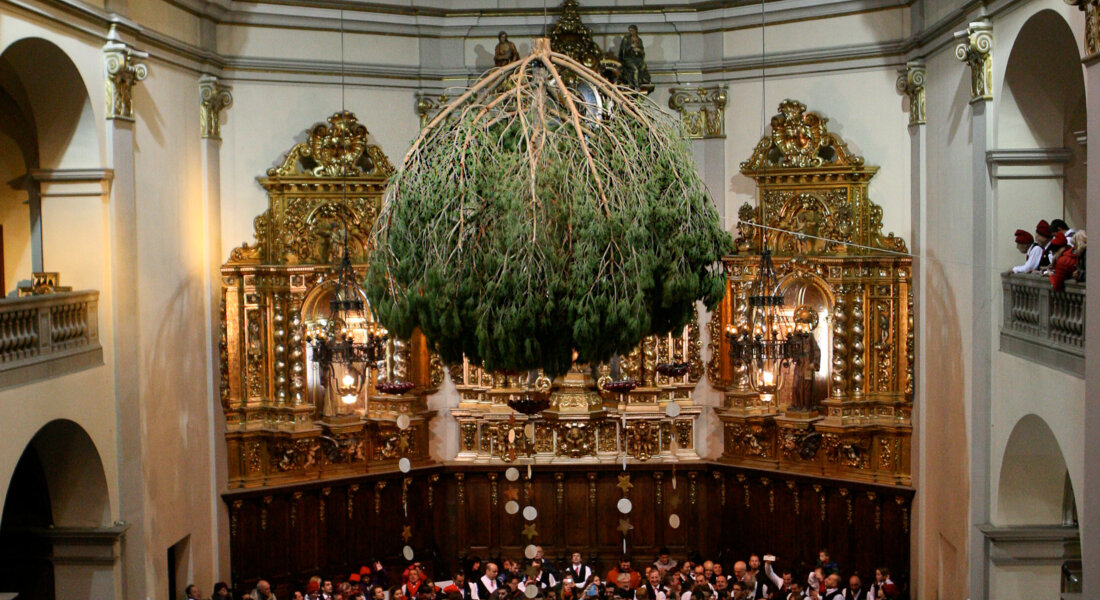 Festa del pi de Centelles