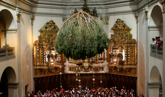 Festa del pi de Centelles