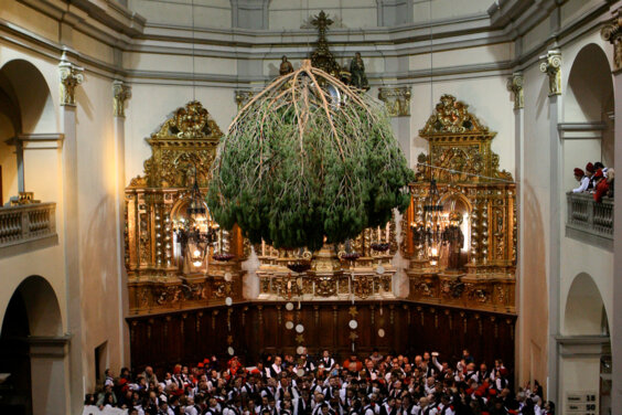 Galeria principal