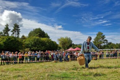 Participant del Concurs de Boletaires