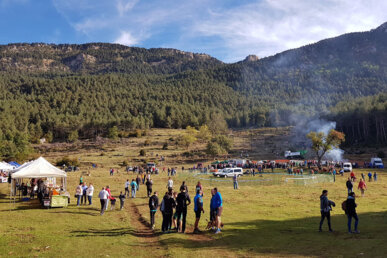 Esplanada on se celebra la festa