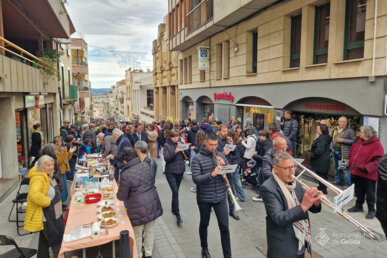Cercavila de Santa Llúcia