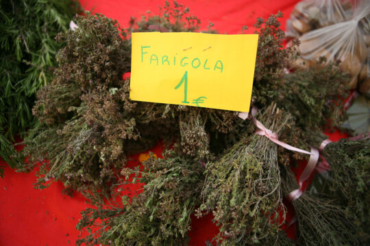 Ramets de farigola