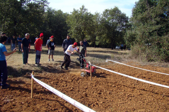 Concurs de llaurar amb motocultor