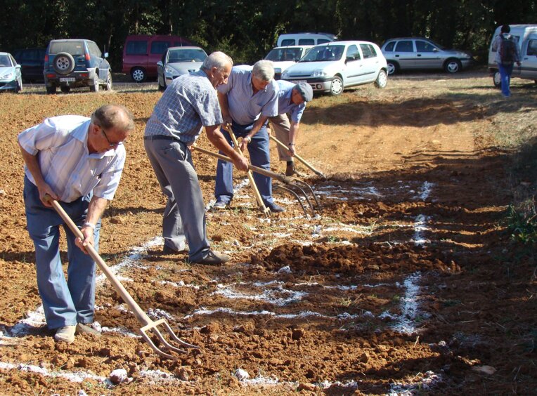 Festa de Sant Galderic al Pla de Martís