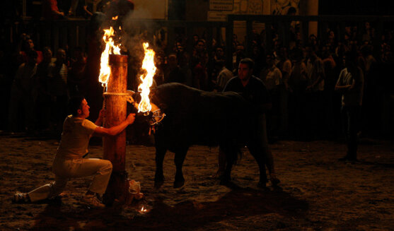 Festes de la Mare de Déu de Gràcia de Vila-real