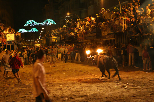 Bou embolat