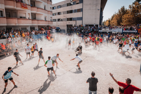 Els bous a la plaça