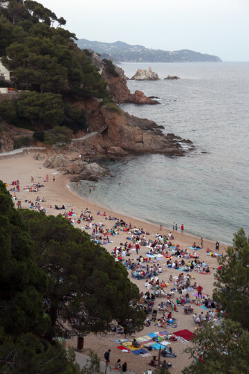 Aplec de l'Amor a Cala Bona