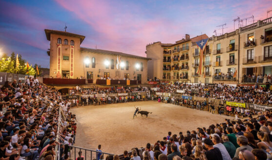 Festa major de Cardona