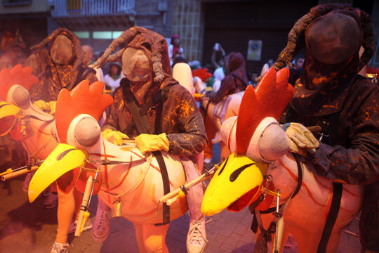 Les gallines, reagrupades