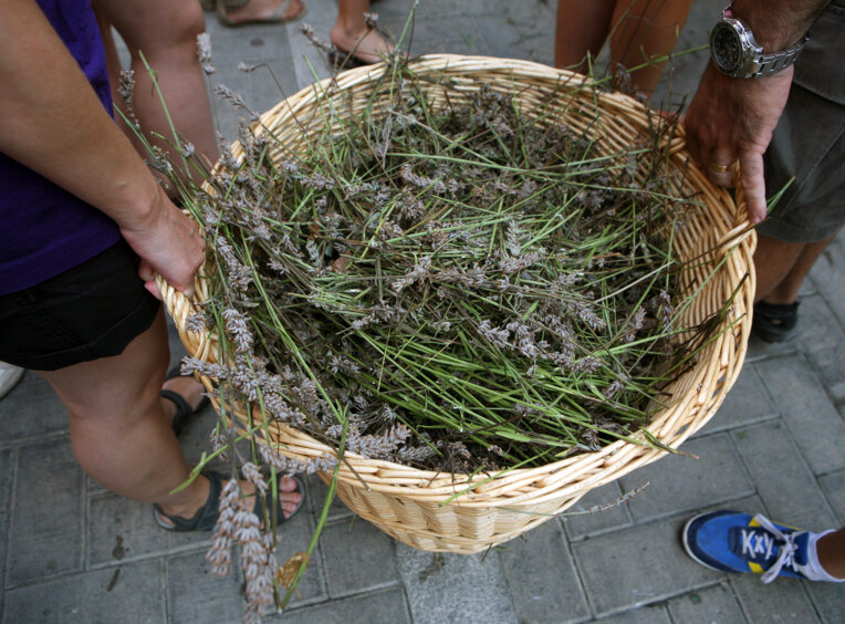 Festa Major de Falset