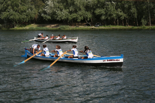 Regata femenina
