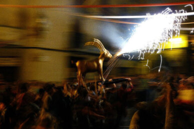 Sortida de nit. Foto: CIC