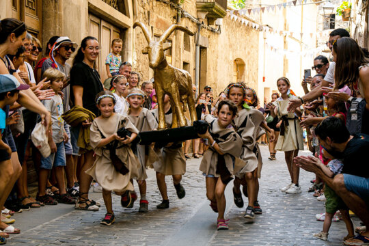 Cabra d'Or petita. Foto: Brian Petitbó (2024)