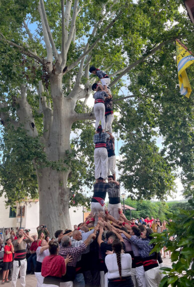 Diada castellera dels Espigolats. Foto: Guifré Rius
