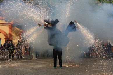 Drac de Sant Martí Sarroca. Foto: Agrupació de Bestiari Festiu i Popular de Catalunya