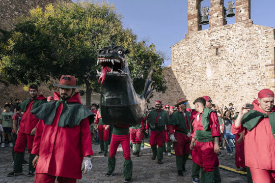 Baixada del Drac