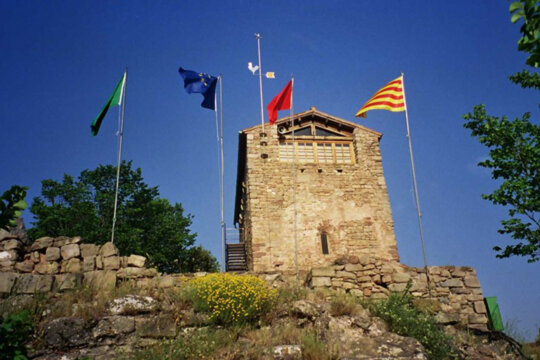 Les quatre banderes: ecològica, europea, catalana i occitana