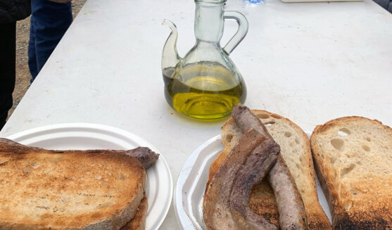 Fira de l'oli nou a Almoster