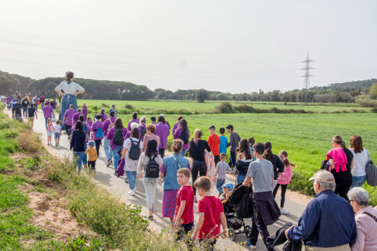 Caminada per anar a buscar el pi