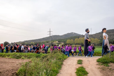 Trasllat del pi, acompanyat pels gegants