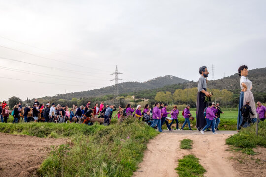 Trasllat del pi, acompanyat pels gegants