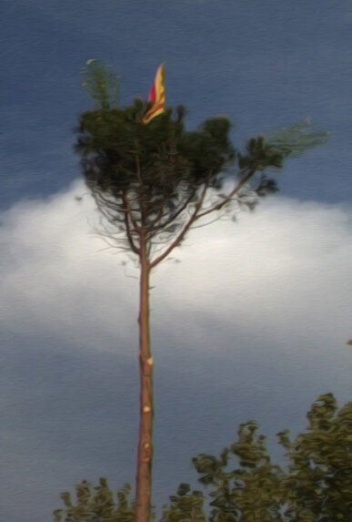 L'arbre plantat, amb la senyera i les dues cols