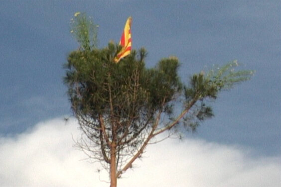 Festa del pi de Pasqüetes