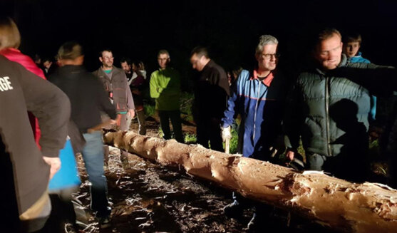 Festa del pi de maig d'El Pla de Manlleu