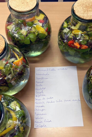 Els ingredients per fer ratafia