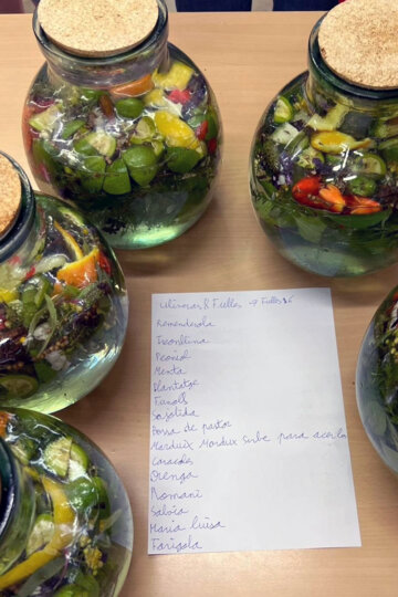 Els ingredients per fer ratafia