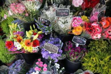 Les flors de La Rambla